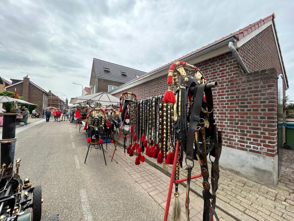 Paard3